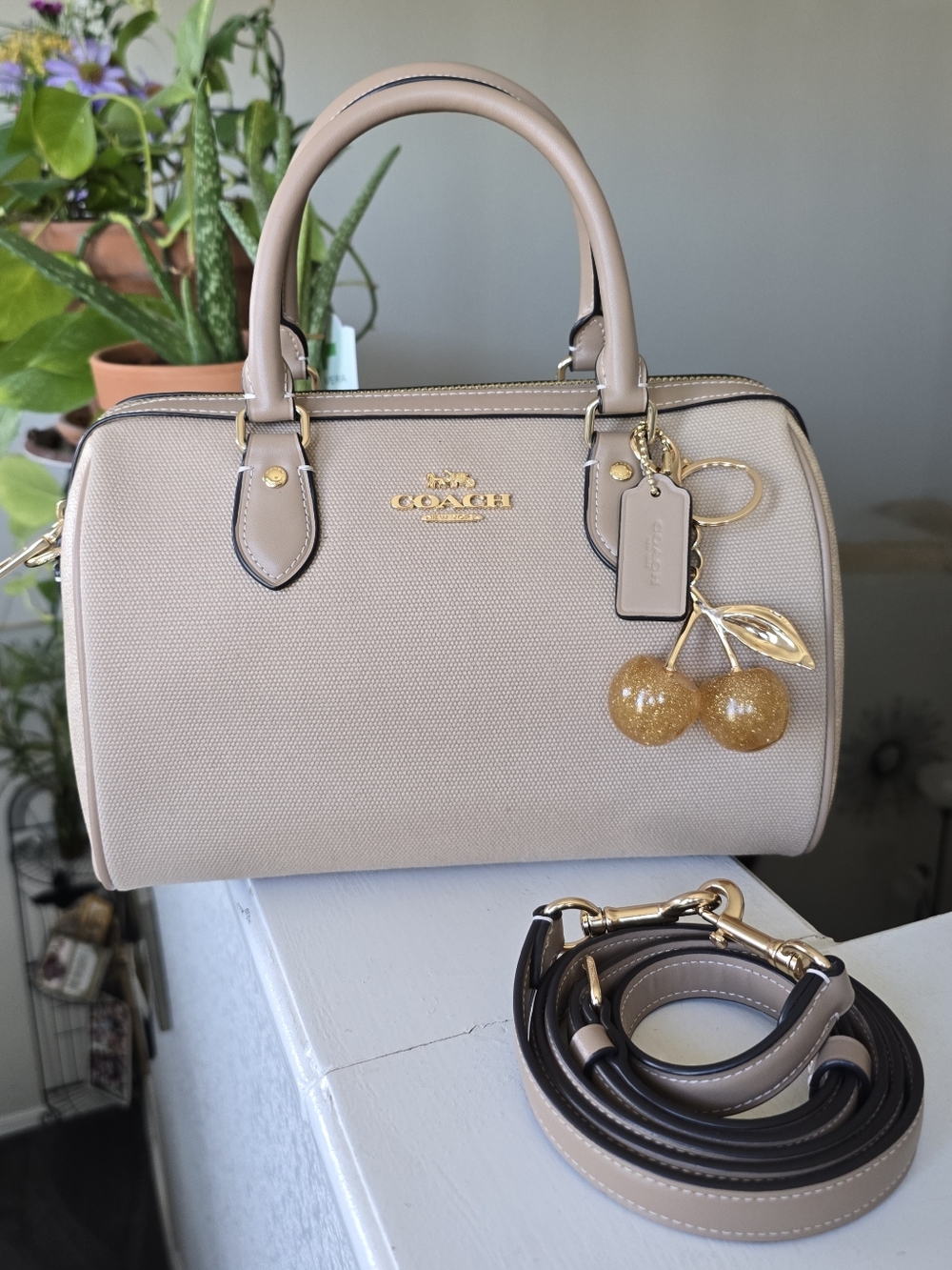 Coach Rowan Satchel In Color Block Canvas And Coated C Signature #CAK58